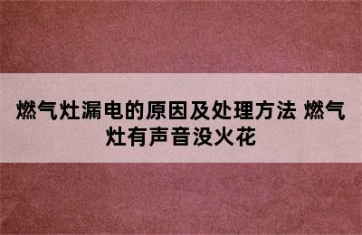 燃气灶漏电的原因及处理方法 燃气灶有声音没火花